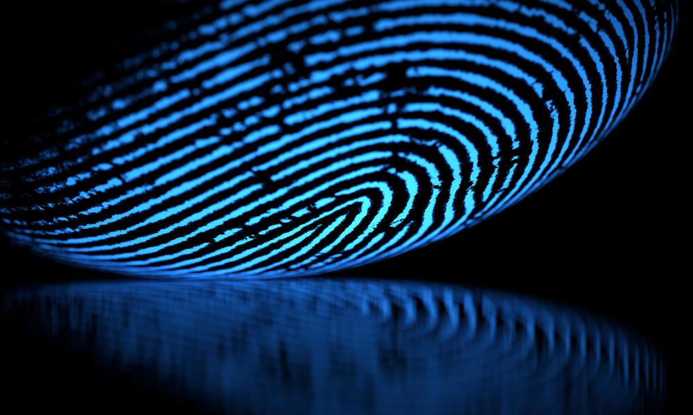 Identidade de Marca e Visual